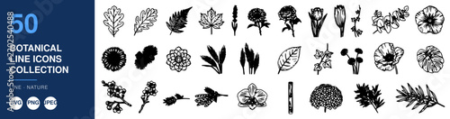 Botanical Icons Collection, Line Art Nature Symbols, Minimalist Design Elements, Decorative Graphic Illustration.