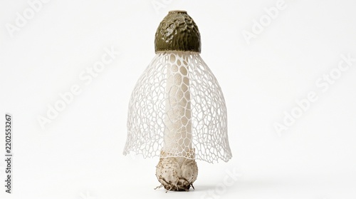 Veiled lady  mushroom displaying delicate white net structure.