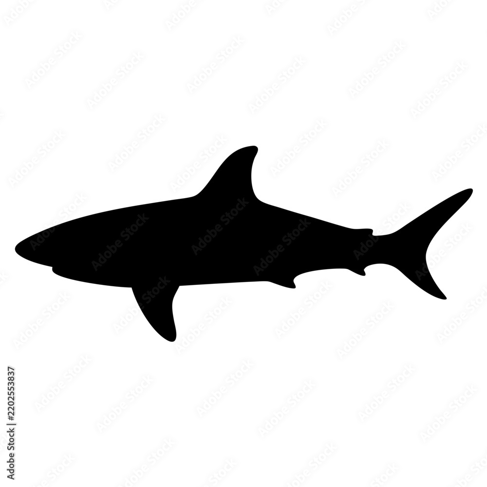 Obraz premium Black shark silhouette vector illustration - Minimalist black shark silhouette in sharp vector style for modern designs and graphics.