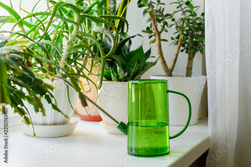 Watering can for houseplants on the windowsill. Watering indoor flowers.