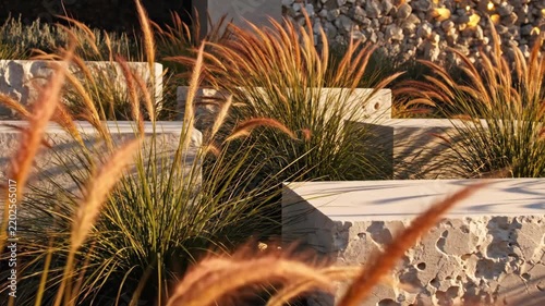 Copper-toned fountain grasses sway between pale limestone terraces and textured stonework, forming a warm minimalist courtyard scene with sculptural planting suited to calm outdoor reflection