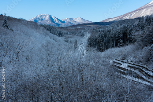 季節外れの雪で白くなった木々と妙高山麓