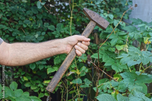 A workers hand holds a large old brown hammer against a backdrop of green vegetation on a summer street