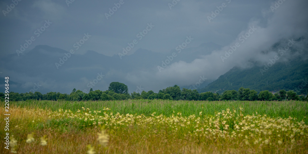 Obraz premium Beautiful summer mountain landscape with a blooming wildflower meadow under a dramatic stormy sky.