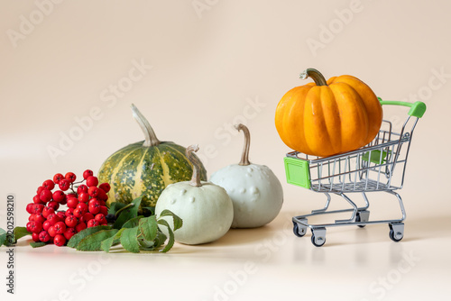 Pumpkins and red rowan berries with miniature shopping cart on beige background with copy space