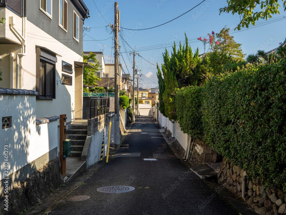 Fototapeta premium 住宅密集地を通る細街路