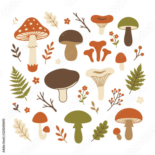 Autumn mushroom and forest foliage collection isolated on white background