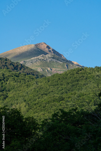 Mountain peak rising above dense green forest under clear blue sky in the Pyrenees