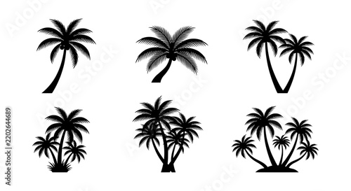 Palm Tree Silhouettes, Tropical Vector Icons, Exotic Island Vegetation Graphics, Summer Beach Elements