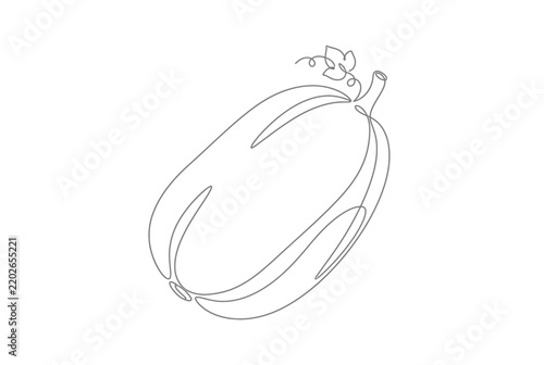 Long zucchini or marrow vegetable single line art.
