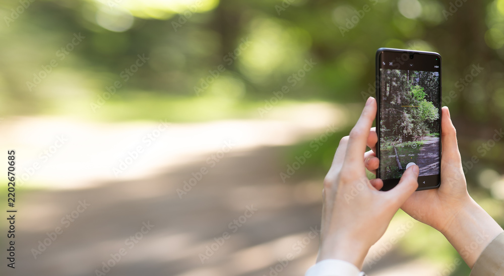 Obraz premium Person holding modern smartphone to shoot bright summer forest pathway scenery. Hand handles mobile phone camera for casual outdoor landscape photography.