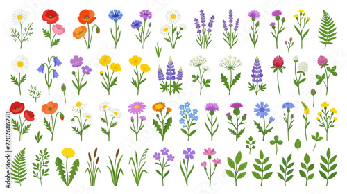 Assorted Wildflowers and Greenery Collection: Vibrant Botanical Vector Illustrations