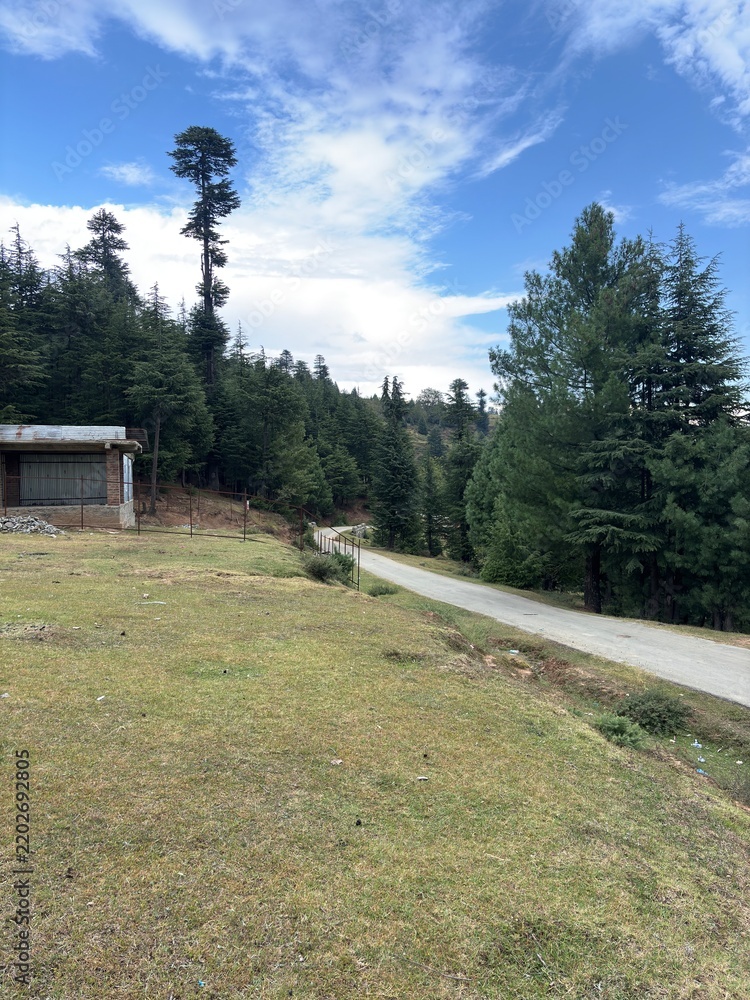 Fototapeta premium Road through mountains and forest in hajibal Kashmir