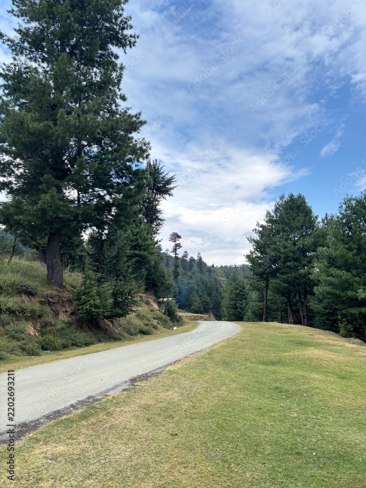 Fototapeta premium Road through mountains and forest in hajibal Kashmir