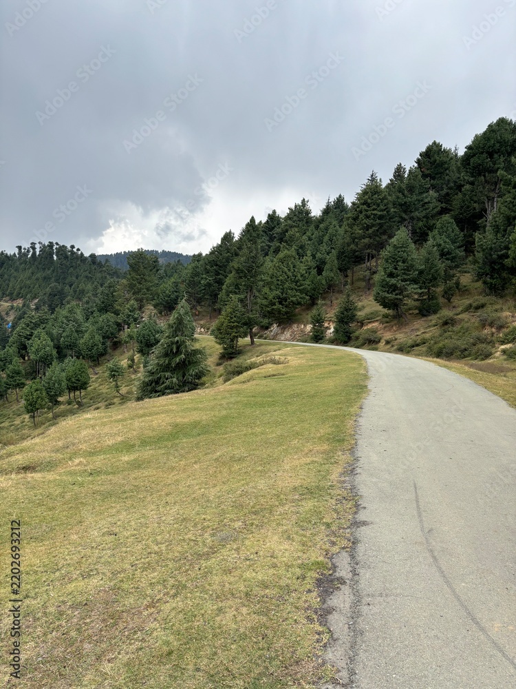 Fototapeta premium Road through mountains and forest in hajibal Kashmir