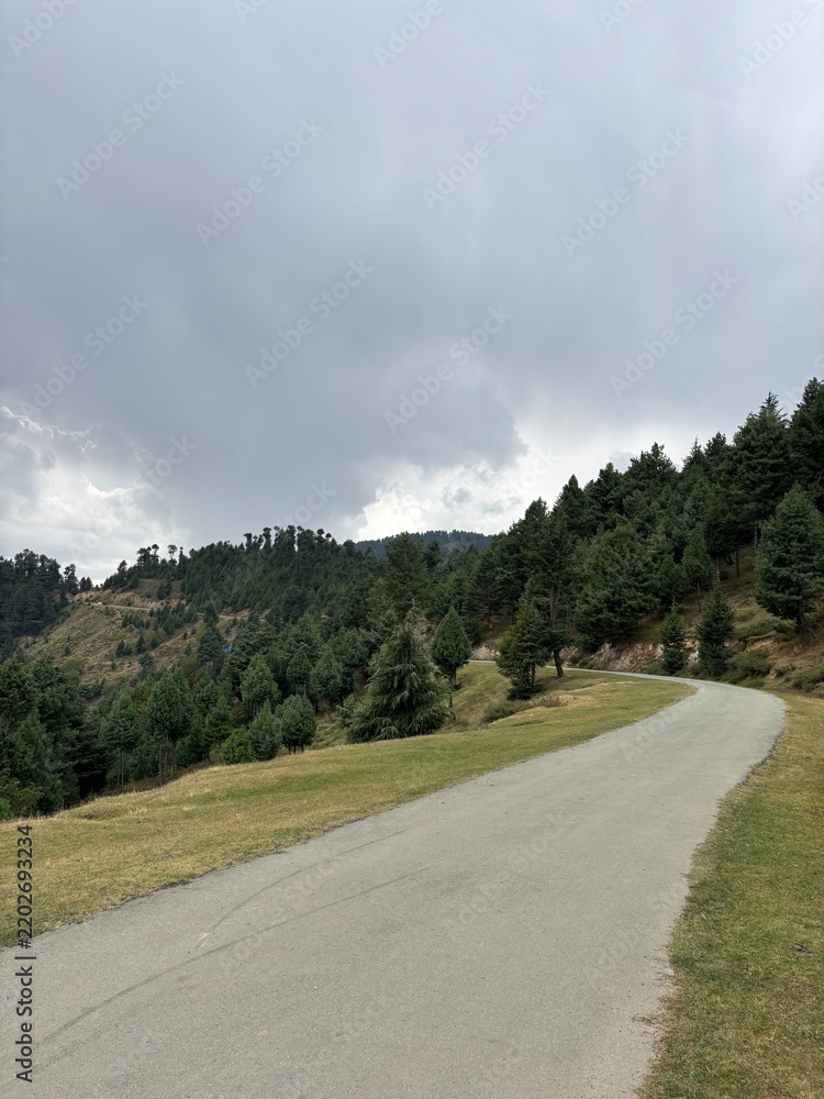 Fototapeta premium Road through mountains and forest in hajibal Kashmir