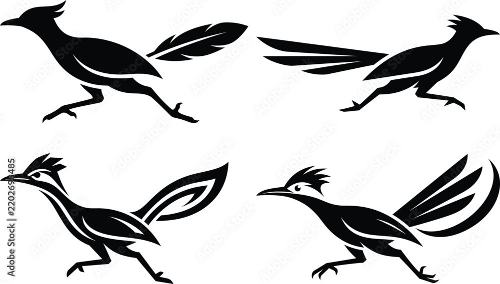 Fototapeta premium Set of four black and white stylized roadrunner bird silhouettes in various running poses for graphic design