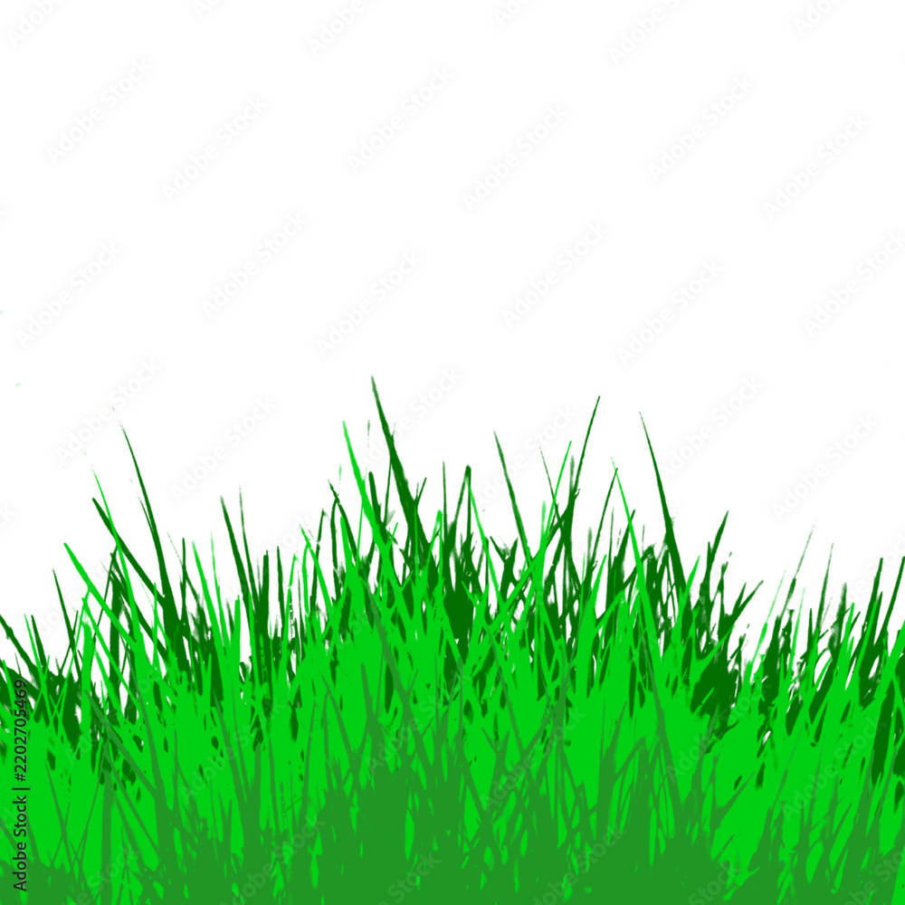 Fototapeta premium Green grass isolated for object design