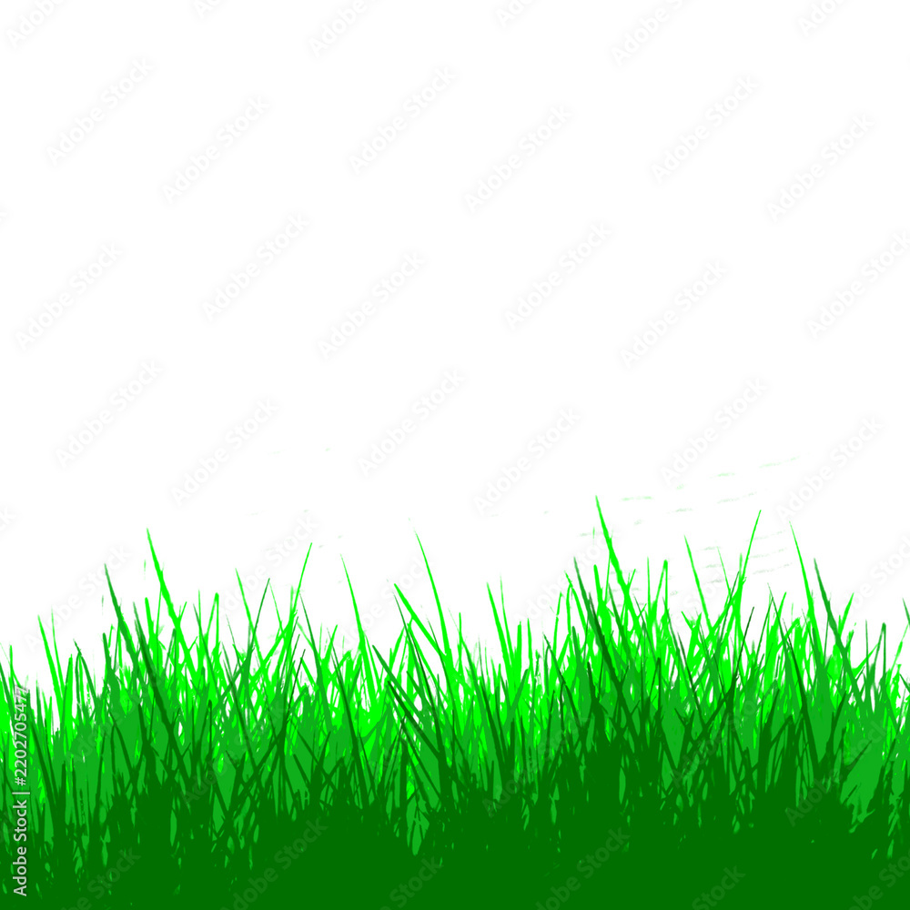 Obraz premium Green grass isolated for object design