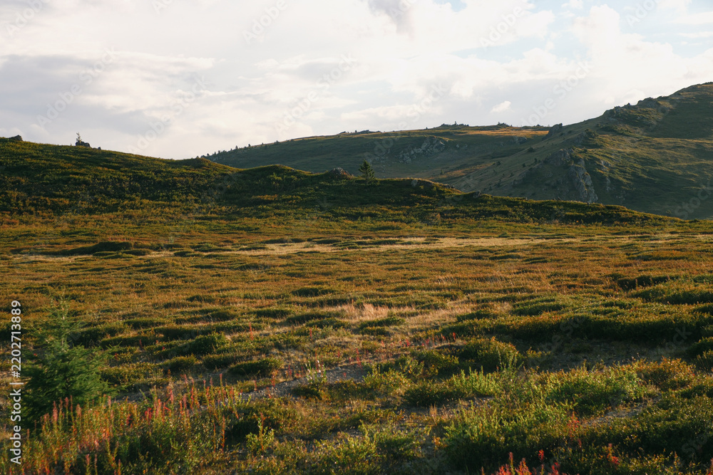 Fototapeta premium Vast alpine tundra with low vegetation under soft sunlit clouds
