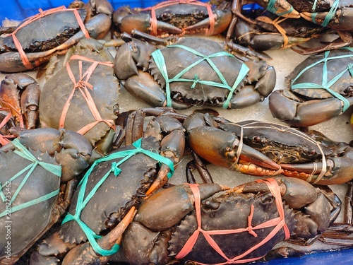 Many live Crabs 