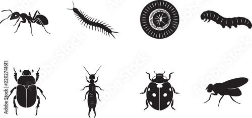 Collection of various insects and bugs icons with caterpillar centipede creature wildlife