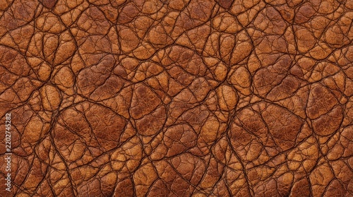 Detailed brown leather texture with organic cracked pattern