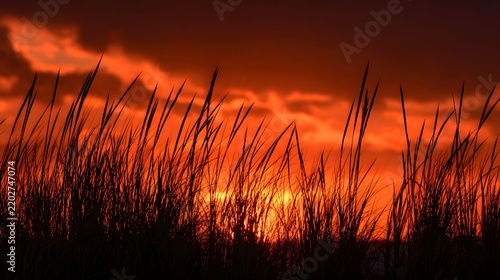 Tall grass silhouettes against a vibrant orange sunset sky