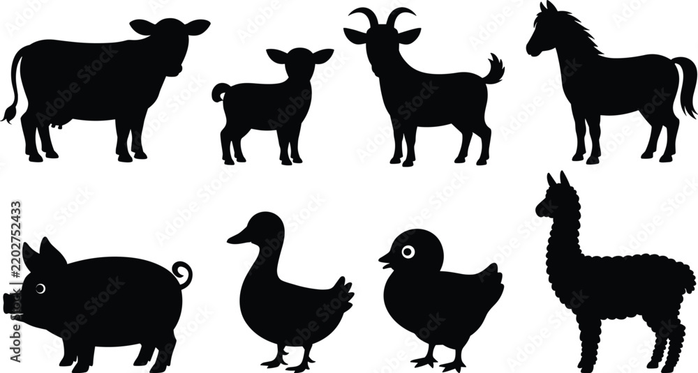 Obraz premium Assorted black silhouettes of farm animals including a cow, goat, horse, pig, duck, chick, and llama, isolated on a white background, for projects