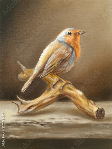 Still life with european robin
