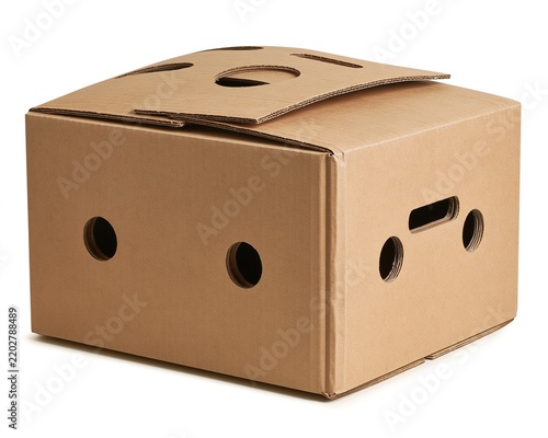 Cardboard Box with Holes for Viewing