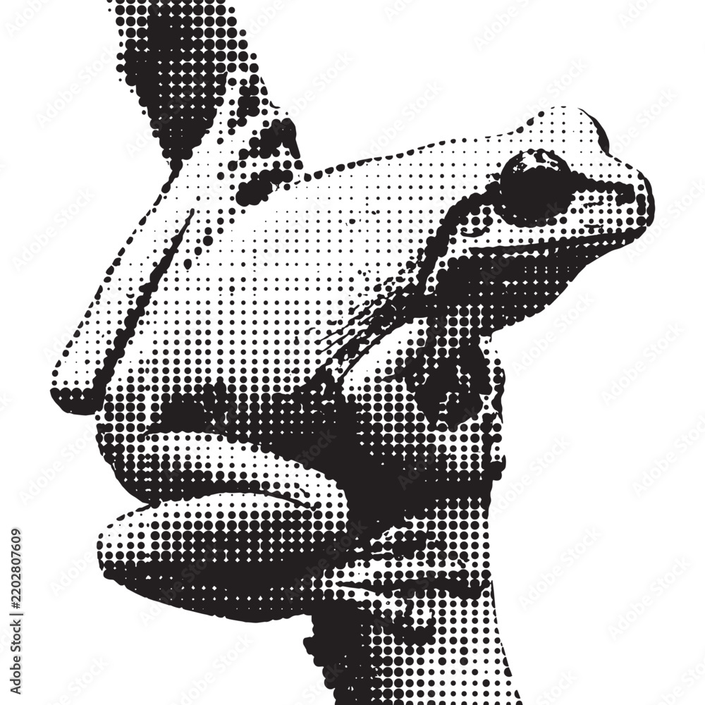 Fototapeta premium Halftone Frog Illustration, Black and White Rasterized Screenprint Art with Stippling Dots Texture