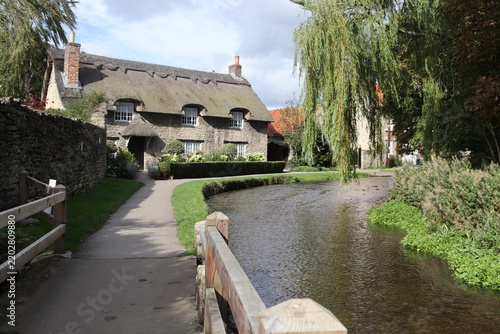canal and houses