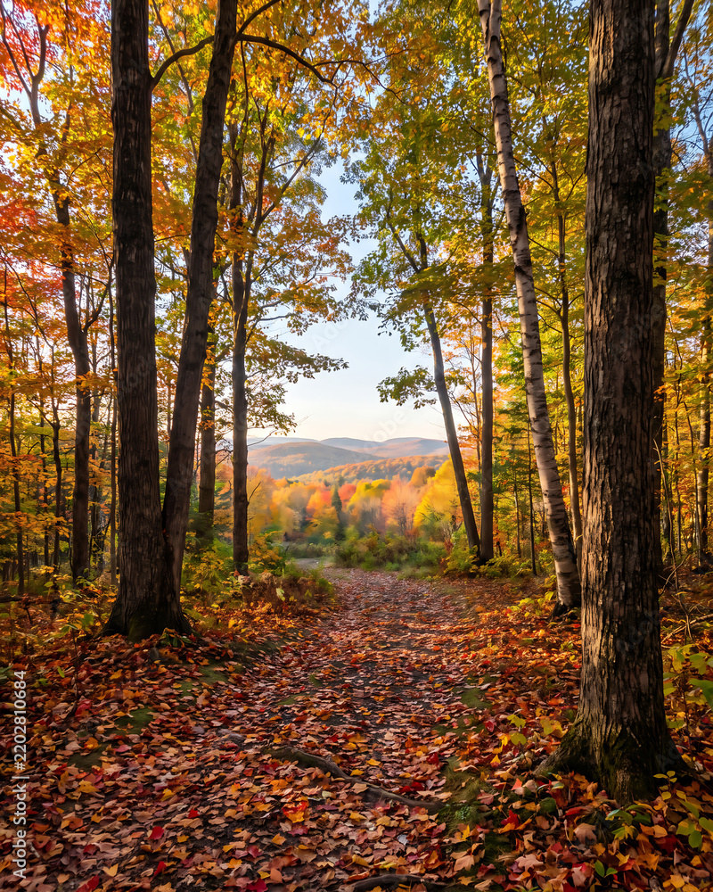 Fototapeta premium A scenic autumn forest trail covered in vibrant fallen leaves, framed by tall trees leading to a picturesque view of rolling hills and distant mountains under a bright sky.