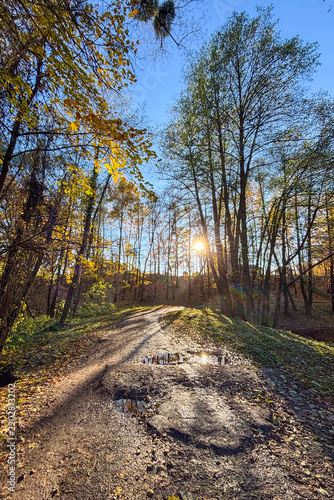 Golden autumn colors light up the countryside among old wooden houses and ancient churches in Ukraine, creating a warm nostalgic atmosphere.
