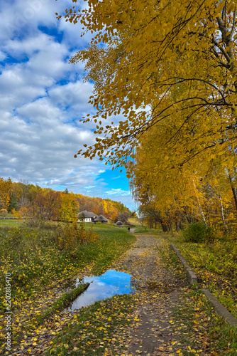 Golden autumn colors light up the countryside among old wooden houses and ancient churches in Ukraine, creating a warm nostalgic atmosphere.
