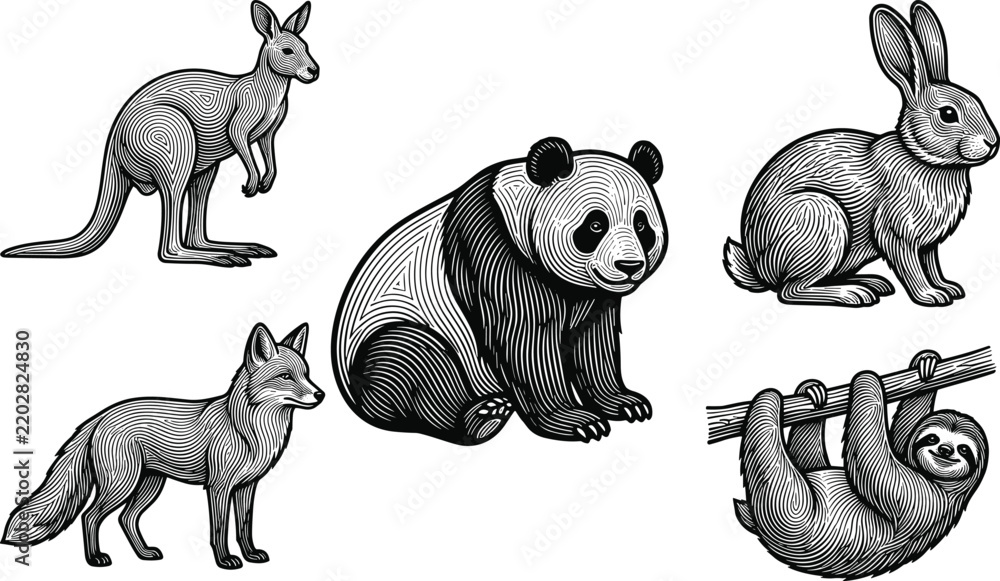 Fototapeta premium Vintage woodcut engraving animal illustration set featuring kangaroo, panda bear, rabbit, fox, and hanging sloth on white background