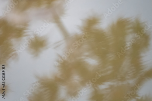 Earth Tone background from a pond's reflection, including sky and leaves.
