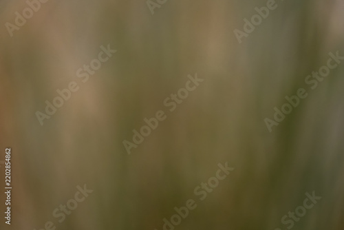 Earth Tone background from a pond's reflection, with browns and greens.
