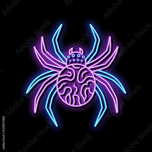 A single Halloween spider illustrated entirely with neon line art