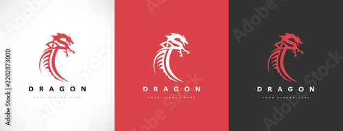 Dragon logo vector. Mythical animal