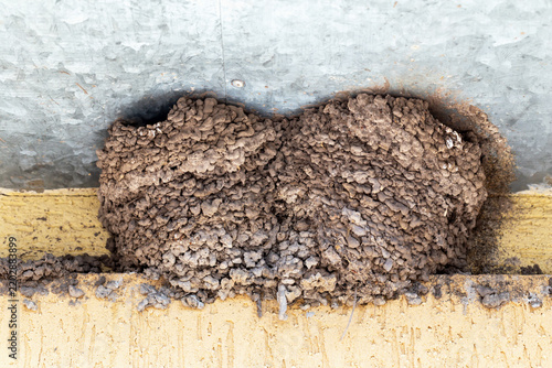 Swallow's Nest. Textured mud nest attached beneath weathered gray wall ledge, with layered earthen material spanning yellow surface and dark recesses visible around compact structure