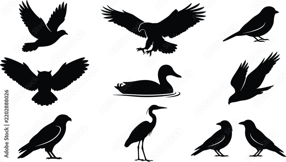 Obraz premium Realistic Bird Silhouette Vector Set featuring Flying Eagle, Owl, Duck, Crane, and Perched Crows Shapes for Wildlife and Nature Design Projects