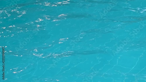 pool , a fun summer activity