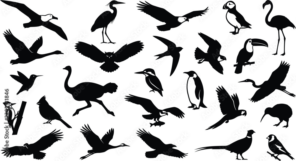 Fototapeta premium Black and white silhouettes collection featuring flying and standing birds