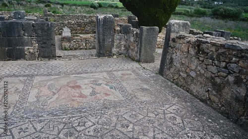 Ancient roman mosaic floor of the ruins of Volubilis, Morocco