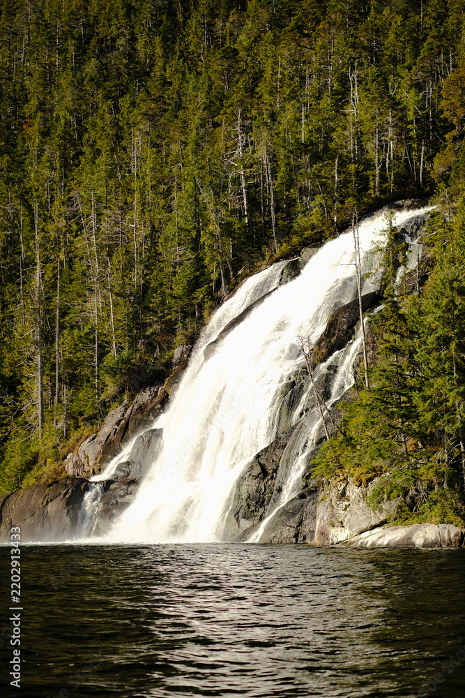Obraz premium Waterfall cascading through evergreen forest