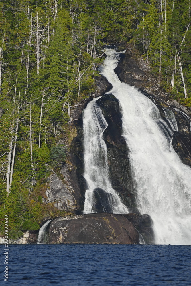 Obraz premium Waterfall flowing through a forested rocky landscape