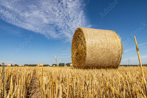 Strohrolle