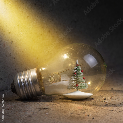 Miniature christmas tree inside illuminated vintage light bulb on rough concrete surface